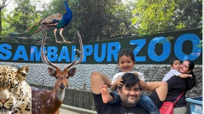 As Odisha grapples with a relentless heatwave, the Sambalpur Zoo authorities have implemented special measures to safeguard the animals from the blistering summer conditions.