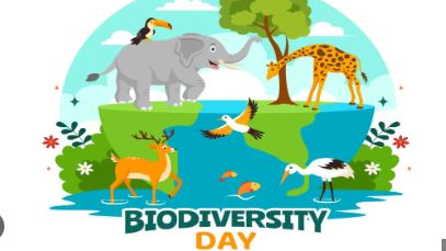 Every year on May 22nd, the International Day for Biological Diversity (IDB) is celebrated globally to raise awareness about the importance of biodiversity and the need to protect and conserve our natural resources.