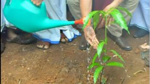 Deputy Chief Minister Parvati Parida kicked off Odisha's ambitious campaign to plant 2.5 crore saplings in just one week. 