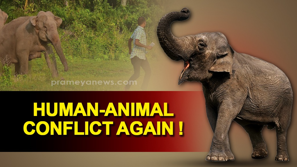 Human elephant conflict