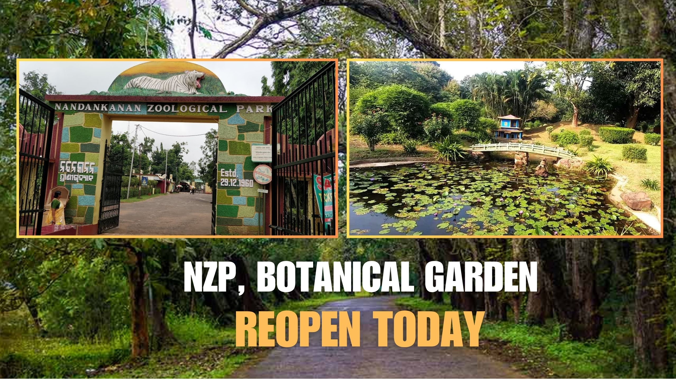 The Nandankanan Zoological Park (NZP) and the State Botanical Garden reopened today after being closed for two days due to Cyclone Dana.