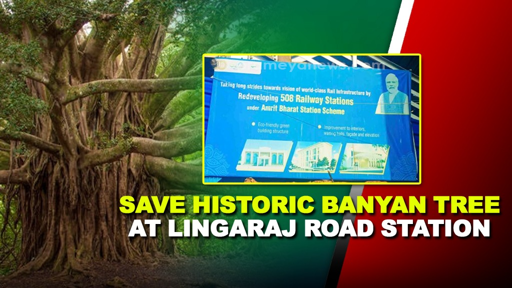 A 200-year-old banyan tree, located near the Lingaraj Road railway station, is at risk of destruction due to the ongoing expansion plans under the Amrit Bharat Stations Scheme