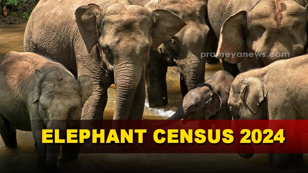 The three-day elephant census in Odisha has concluded, and the population of elephants has marginally decreased in 2024, as confirmed by the Forest Department