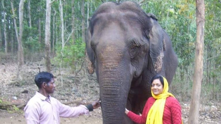 A 62-year-old ‘Kumki’ elephant Bhabani, died this morning at the Hatighar Elephant Camp in Odisha's Similipal. The elephant died due to her old age.