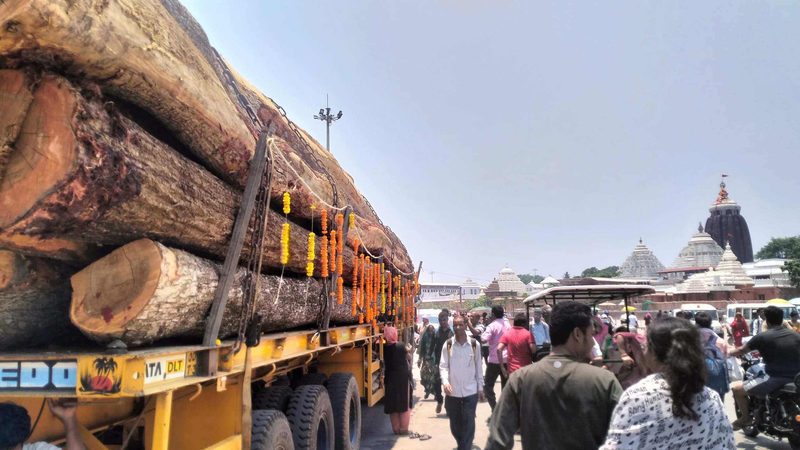  Ahead of the annual Rath Yatra, the first lots of wood were dispatched from Daspalla in the Nayagarh district of Odisha on Tuesday morning for the construction of three chariots for Lord Jagannath, Lord Balabhadra, and Devi Subhadra.