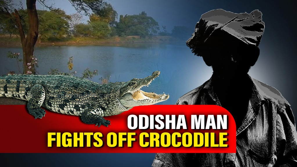  A partially blind elderly man from Kendrapara district has become the talk of the town after surviving a terrifying encounter with a 10-foot-long saltwater crocodile armed with nothing but his wits and courage.