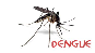 dengue