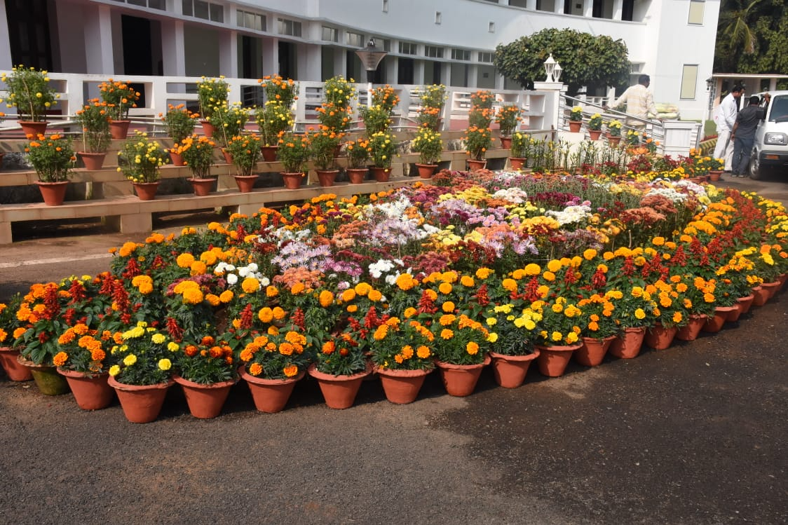 Raj Bhavan garden