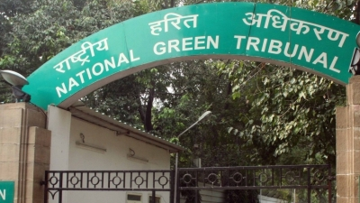 NGT