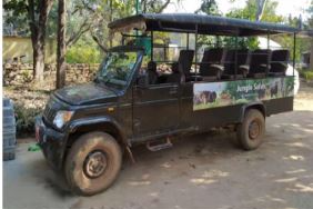 jungle safari in Bharatpur