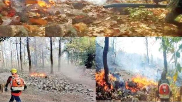 Forest fires in Similipal