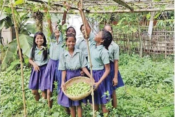 kitchen garden in Odisha schools 