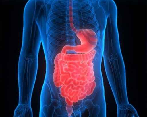 E. coli causes urinary tract infections