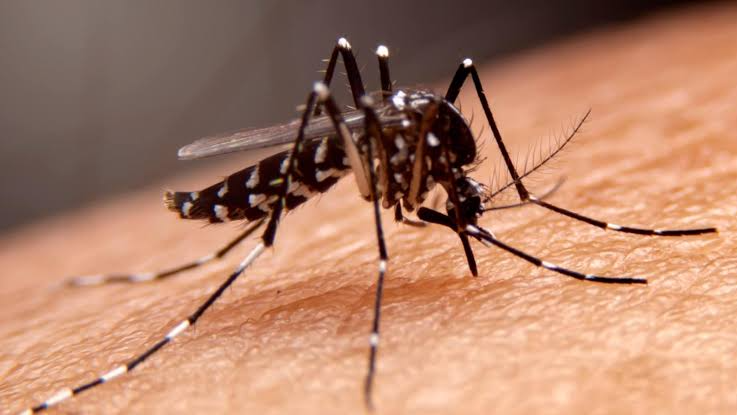 malaria in Rayagada