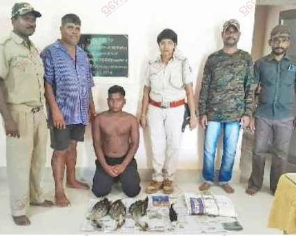 poacher arrested