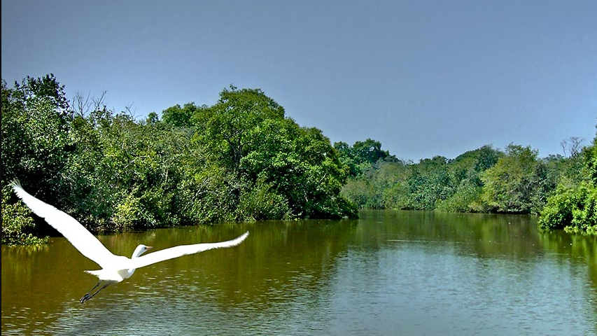 Bhitarkanika National Park