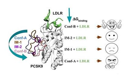 New dual-drug therapy shows promise in Cancer treatment