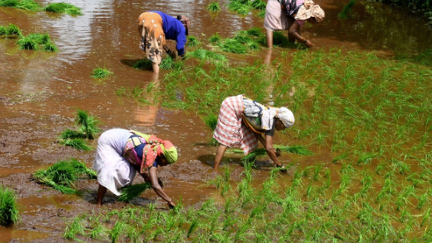 Farmers to protest