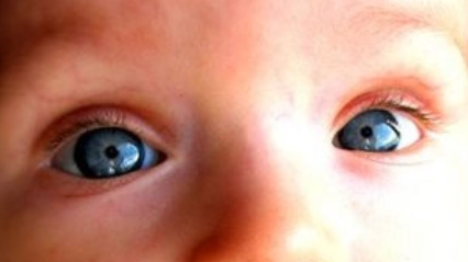 toddler's eye movement 