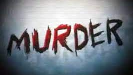 Noida double murder case