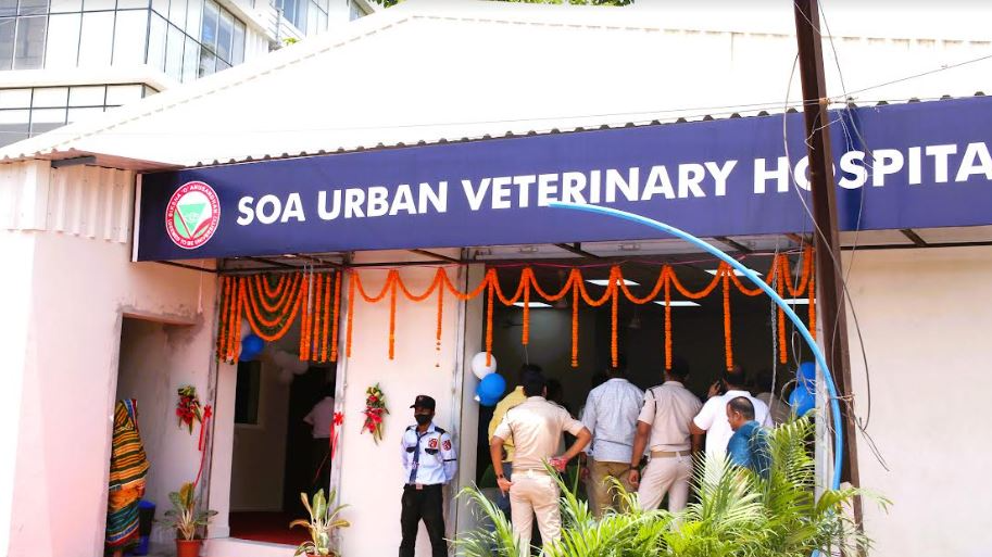  Veterinary Clinical Complex (VCC) SOA