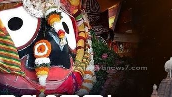 Today the whole nation is celebrating Ganesh Chaturthi