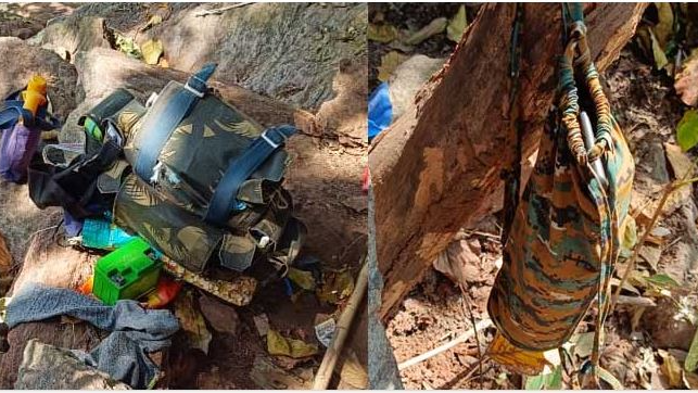 An elephant died after swallowing a crude bomb in the Bharatpur jungle on the outskirts of Bhubaneswar on Tuesday