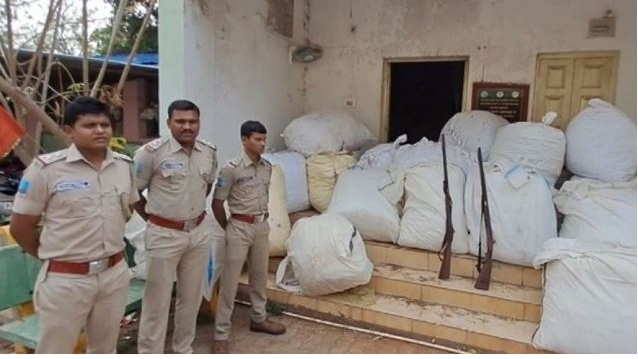 Huge cache of cannabis recovered from forest in Kandhamal