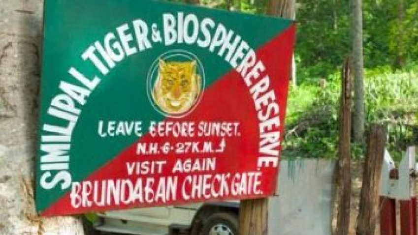 No entry of visitors to Similipal Tiger Reserve from June 12