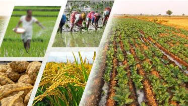 Farmers to pay electricity bills, arrears in easy instalment 
