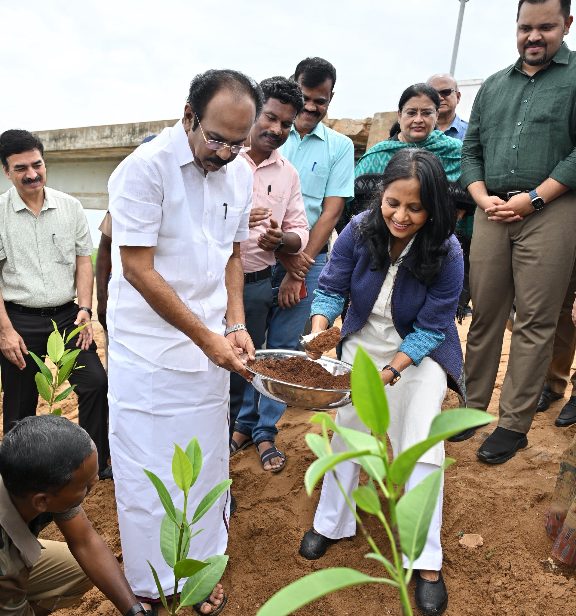 World Mangrove Day 2025: Tamil Nadu builds strong bio-shields against coastal erosion