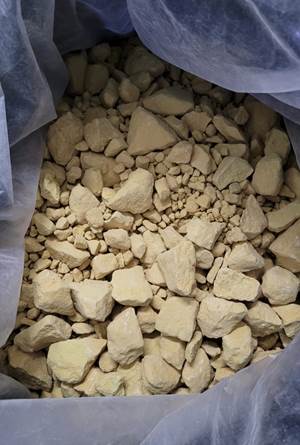 DRI officials seize 119.4 kg of Alprazolam worth Rs. 23.88 crore from Andhra Pradesh; 8 arrested
