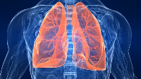 Early menarche, early menopause, and a shortened reproductive life span are associated with higher risks of incident lung cancer, especially NSCLC, in subpopulations with specific genetic risk and lifestyle choices
