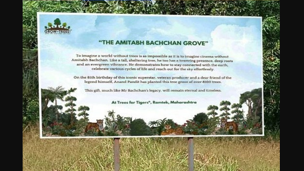 The green cover will be called the 'Amitabh Bachchan Grove' and will be integrated into the organisation’s 'Trees for Tigers' project. An e-certificate with details of the project was also presented to Bachchan by Pandit