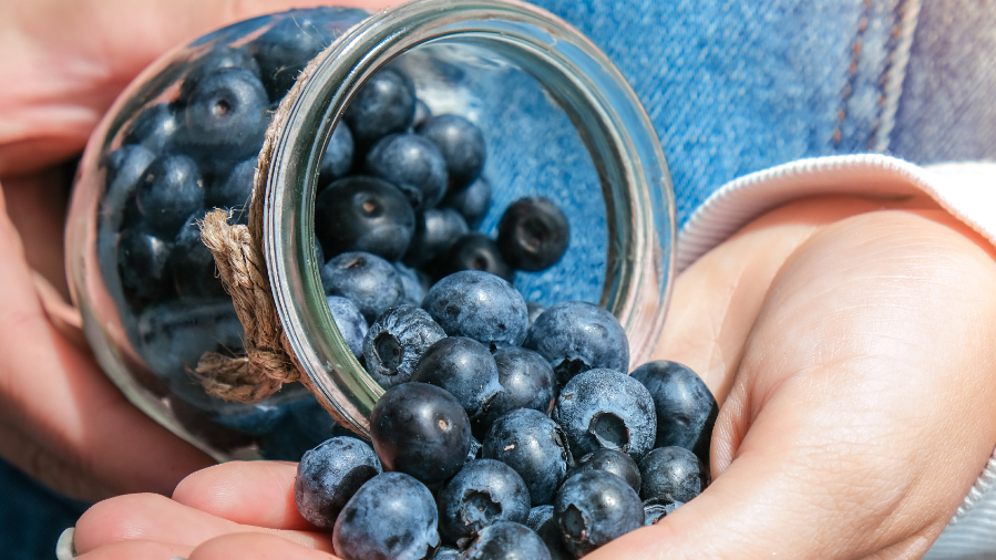 Protection Against Neurodegenerative Diseases: While more research is needed, there is promising evidence that blueberries could help reduce the risk of neurodegenerative diseases like Alzheimer's and Parkinson's