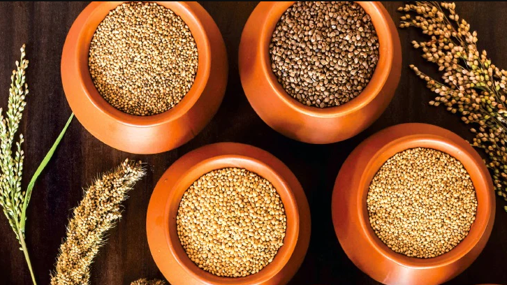 The Yajur Veda texts also identify this superfood, with Foxtail Millet being called Priyangava, Barnyard Millet being referred to as Aanava, and the Black Finger Millet brought up as Shyamala