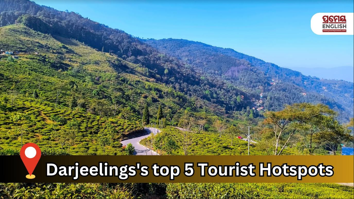 Nestled amidst the serene landscapes of Darjeeling, Lamahatta Eco- Park stands as a testament to sustainable tourism. Spread over lush acres, this ecological haven offers a tranquil retreat for nature enthusiasts