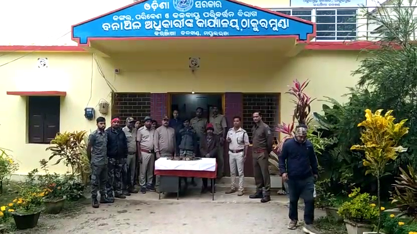 Acting on a tip-off, the joint team conducted raids in several places and seized around 4.5Kg  lightning rods from Khaprakahi village in Thakurmunda Range and arrested two persons. Similarly, the team also seized eight deer horns, six sambar horns from Padmapur villahe near Jashipur and arrested for accused