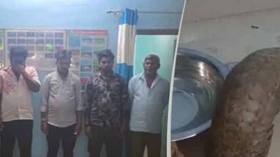Following the successful operation, an investigation has been initiated by the Forest Department to uncover and apprehend other individuals involved in similar illicit activities within the region