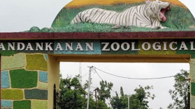 Three new guests have arrived at the Nandankanan Zoological Park in Bhubaneswar as the Asiatic lioness named Rewa has welcomed three cubs, marking her first litter with Jeet