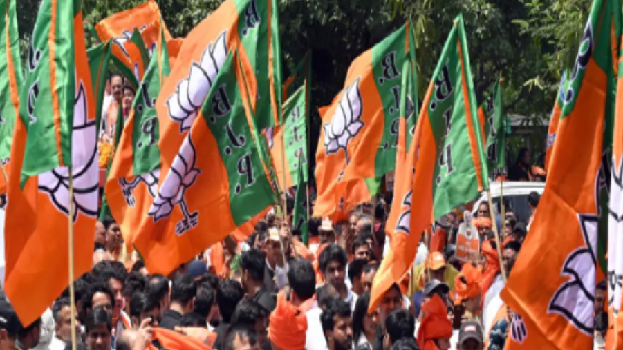 Amid speculation surrounding potential candidates, attention has turned to the 20 newly elected BJP MPs who are scheduled to convene with the party's top leadership in New Delhi today