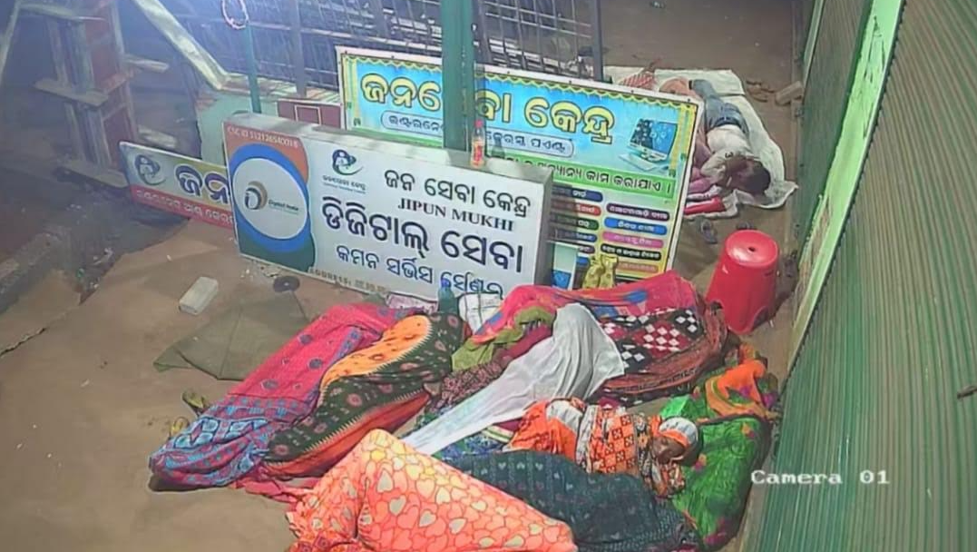  Sheelavathi ganja cultivation in Odisha