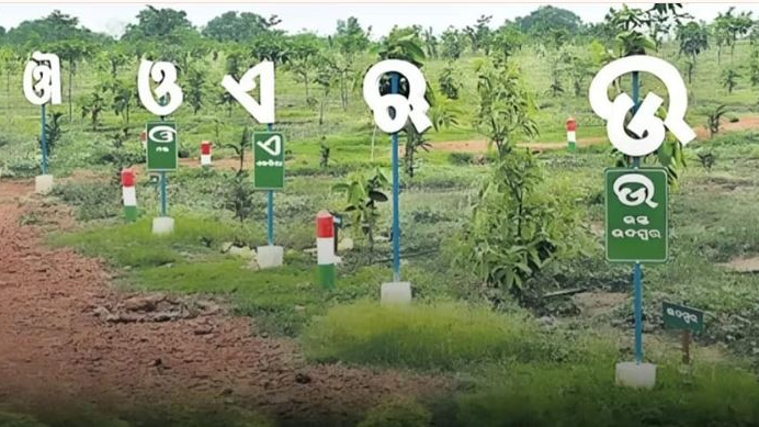In a heartwarming effort to restore ecological balance and revive the lost harmony of rural life, the youth of Raikala village in Patna block of Keonjhar district have taken a unique initiative in crafting artificial nests to welcome birds back to their village.