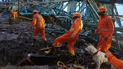 crane crash