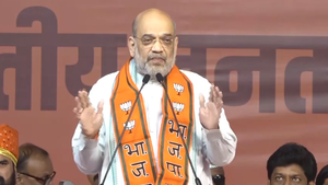 Those who want strong PM with 56-inch chest, should vote for Narendra Modi: Amit Shah