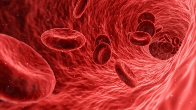 Clinical trials explore gene editing as potential treatment for sickle cell disease