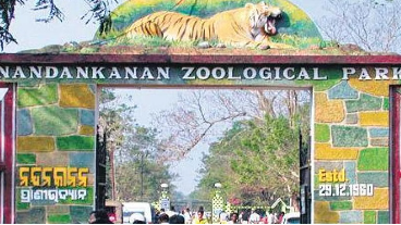 Odisha Budget 2024: CM Majhi allocates Rs 50 cr for development of Nandankanan Zoo