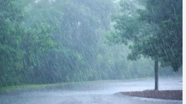 Light to moderate rain likely in 15 districts of Odisha today: IMD